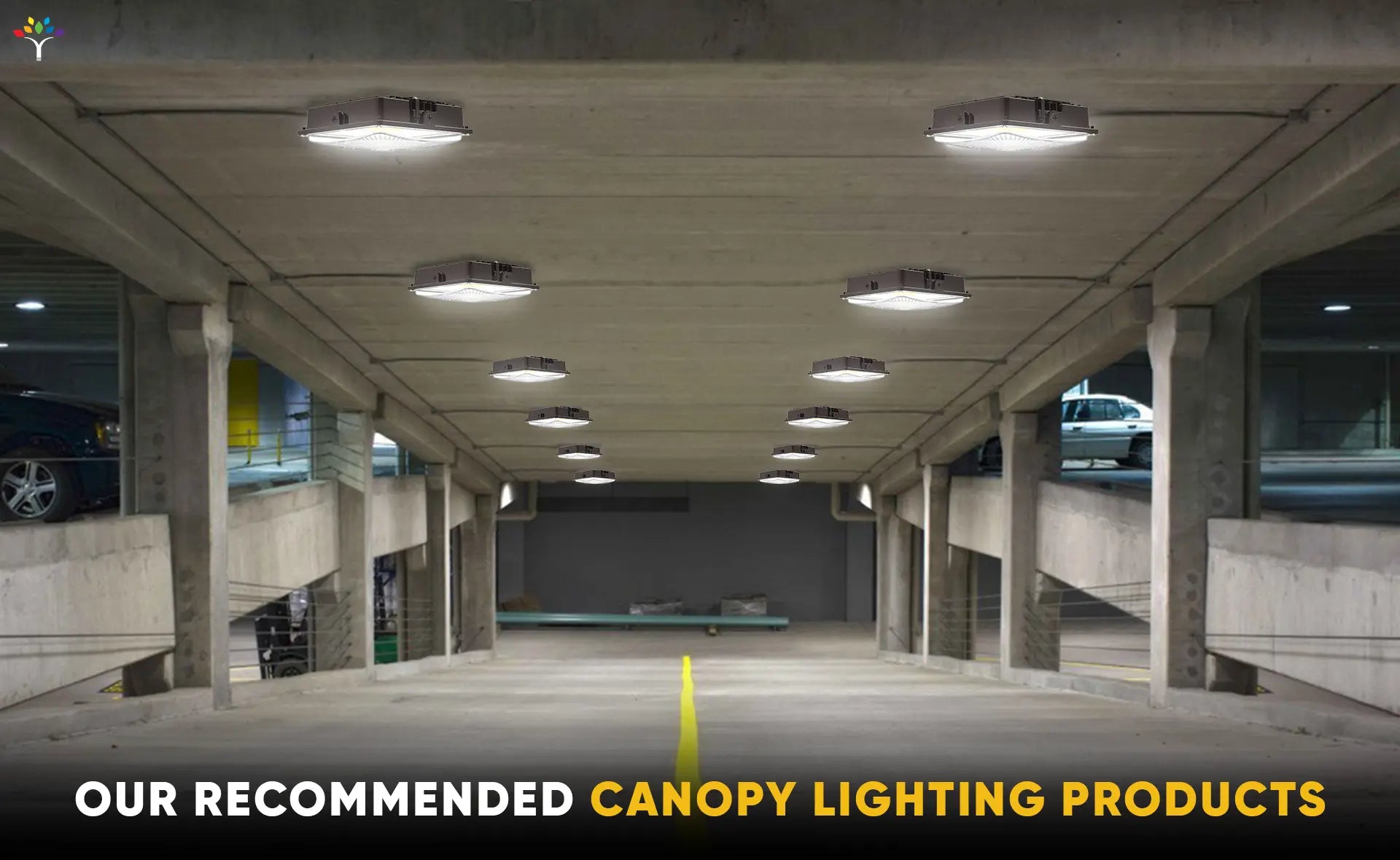 our-recommended-canopy-lighting-products